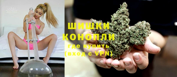крисы Баксан