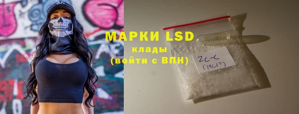 крисы Баксан