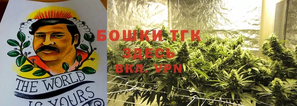 крисы Баксан