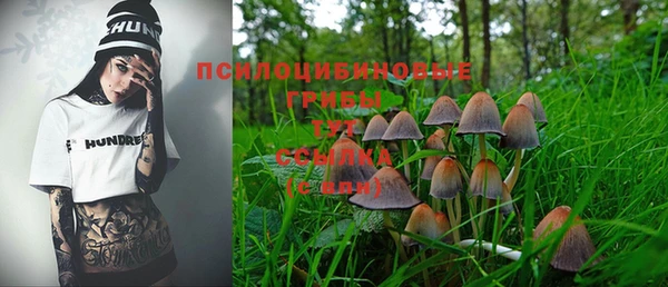 крисы Баксан