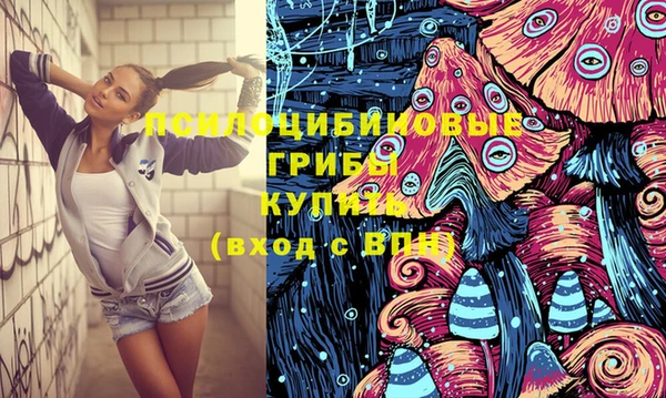 крисы Баксан