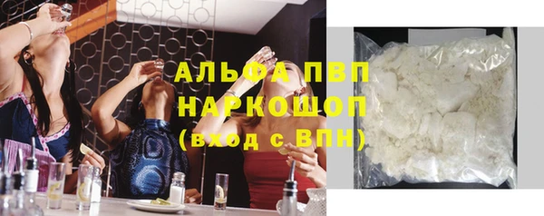 крисы Баксан